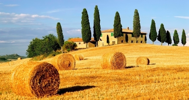 Tuscan landscape