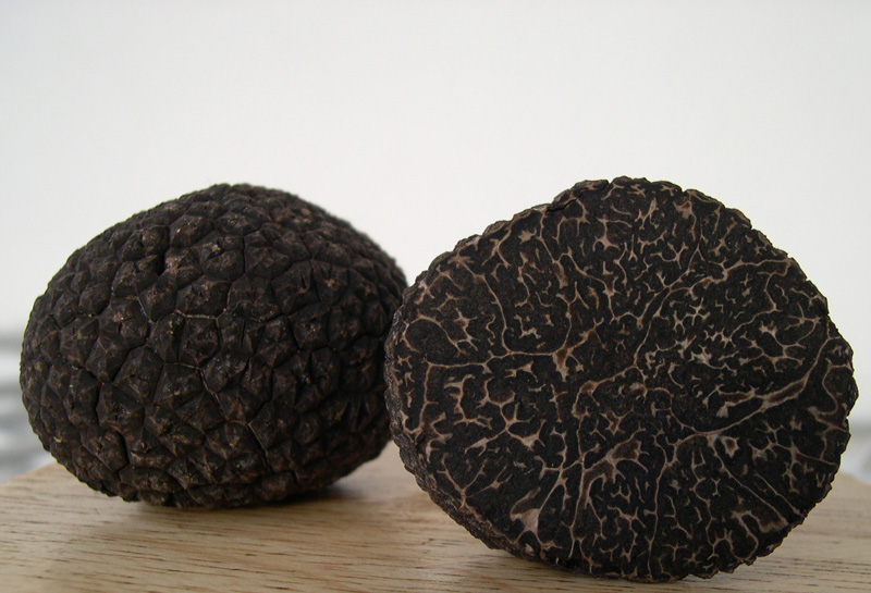 Tartufo nero pregiato