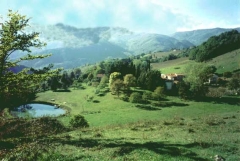 Tuscan landscape